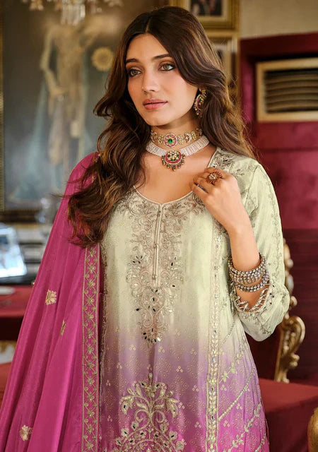 Eba RG Rose Pink Ombre Embroidered Kurti Palazzo Set – Elegant Festive Style in the USA