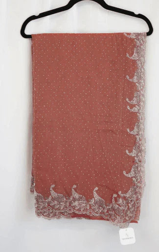 Terracotta Brown Georgette Saree with Pearl Embroidered Paisley Border – Timeless Ethnic Elegance in USA