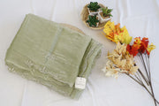 Sage Green Organza Silk Saree with Beaded Border and Leaf Embroidery