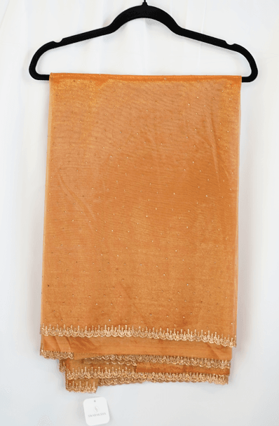 Golden Bronze Tissue Saree with Sequin Detailing and Embroidered Border