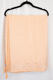 Soft Peach Stone Work Saree with Tassel Pallu