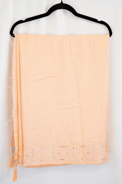 Soft Peach Stone Work Saree with Tassel Pallu